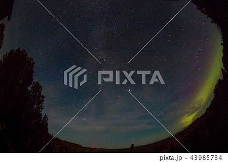 秋のアラスカのオーロラ Aurora Alaska  autumn 43985734