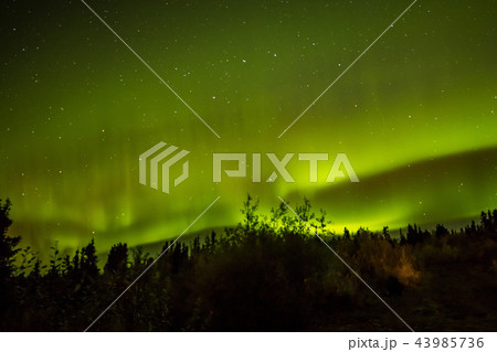 秋のアラスカのオーロラ Aurora Alaska autumn 43985736