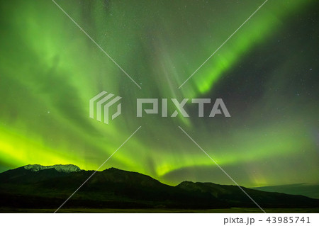 秋のアラスカのオーロラ Aurora Alaska autumn 秋のアラスカのオーロラ Aurora Alaska autumn 43985741