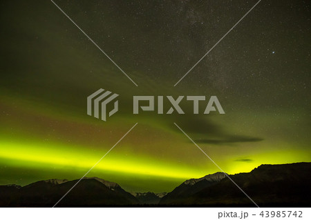 秋のアラスカのオーロラ Aurora Alaska autumn 秋のアラスカのオーロラ Aurora Alaska autumn 43985742