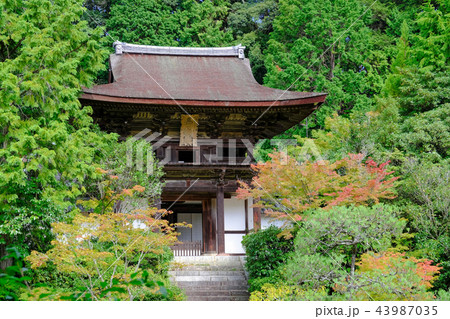 円成寺　楼門 43987035