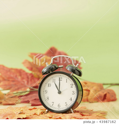 Autumn Black clock leaves Autumn Black clock leaves 43987162