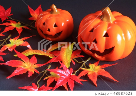 ハロウィン 43987623