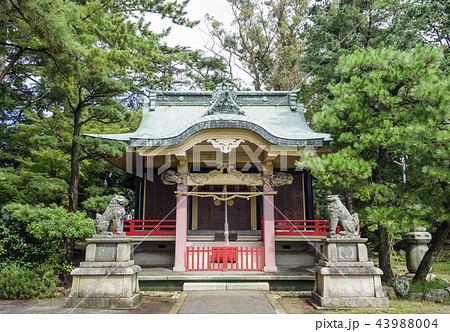 元城町東照宮の社殿（静岡県浜松市） 43988004