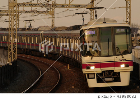 京王 8000系 京王稲田堤駅 京王 8000系 京王稲田堤駅 43988032