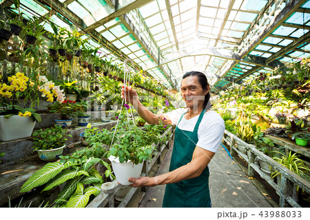 Happy orangery worker Happy orangery worker 43988033