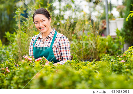 Gardening woman 43988091