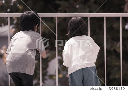 家族 家族 43988150