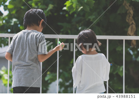 家族 家族 43988151