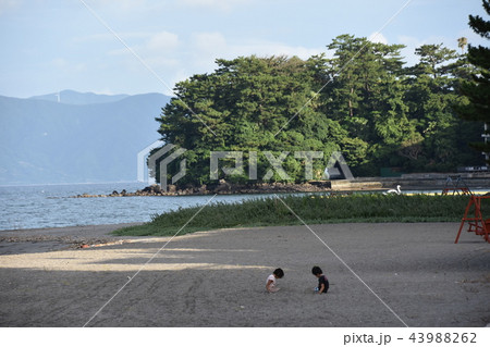 砂浜で遊ぶ子供達 43988262