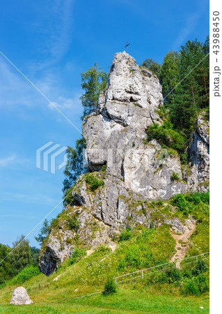 Summer landscape in Bedkowska Valley in Poland Summer landscape in Bedkowska Valley in Poland 43988450