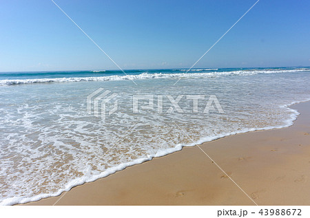 オーストラリア ゴールドコーストのビーチ オーストラリア ゴールドコーストのビーチ 43988672