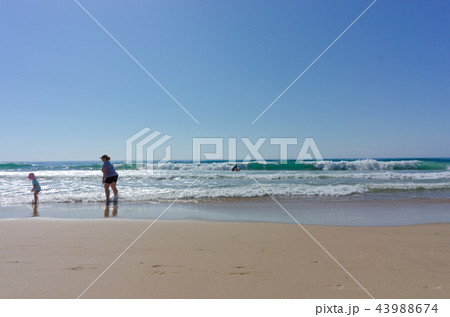 オーストラリア ゴールドコーストのビーチ オーストラリア ゴールドコーストのビーチ 43988674