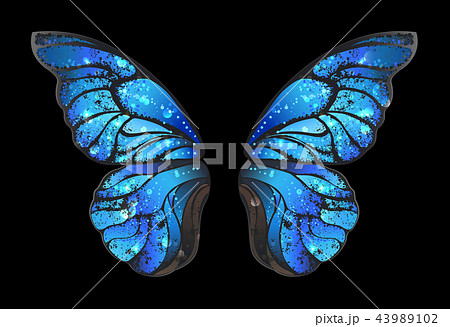blue butterfly wings 43989102
