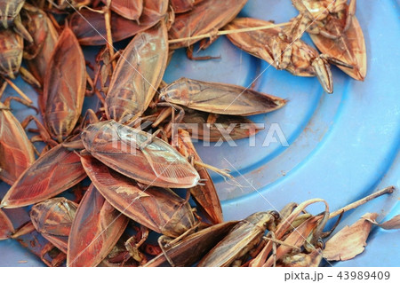 Pimps with very pungent smell at market 43989409