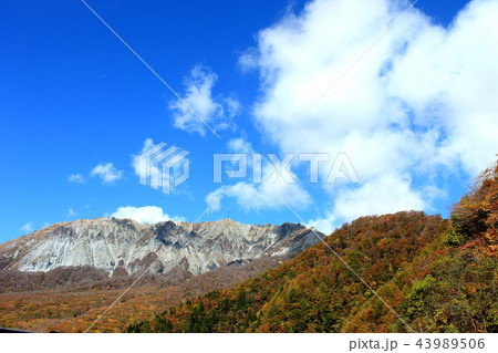 秋の国立公園大山＿紅葉、撮影スポット、鍵掛峠 43989506