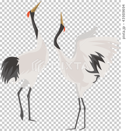 Image illustration of a crane 43989694