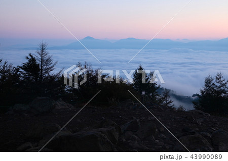 南アルプス　入笠山頂より望む日の出 43990089