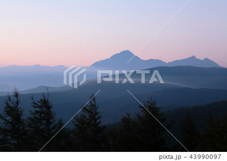 南アルプス　入笠山山頂から望む朝の景色 43990097
