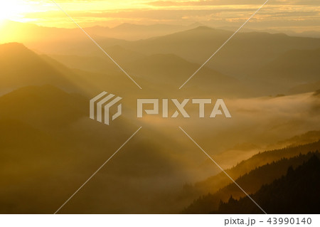 野迫川村の雲海（奈良県吉野郡野迫川村） 43990140