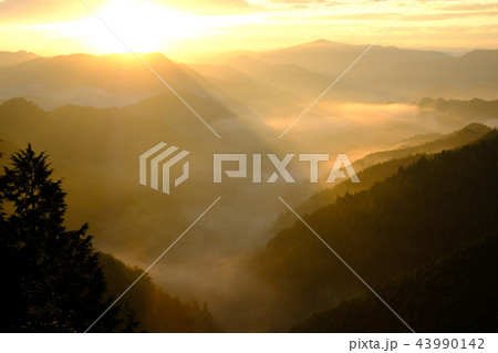 野迫川村の雲海（奈良県吉野郡野迫川村） 43990142