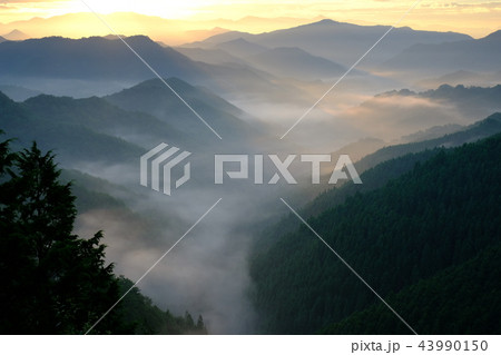 野迫川村の雲海(奈良県吉野郡野迫川村) 野迫川村の雲海(奈良県吉野郡野迫川村) 43990150