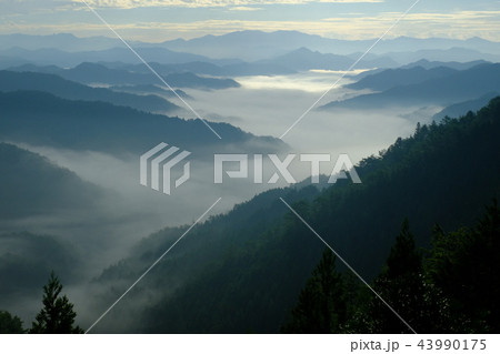 野迫川村の雲海(奈良県吉野郡野迫川村) 野迫川村の雲海(奈良県吉野郡野迫川村) 43990175