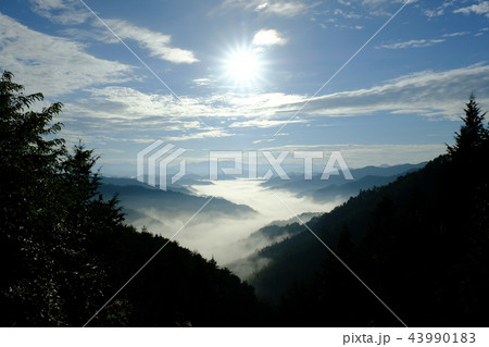 野迫川村の雲海（奈良県吉野郡野迫川村） 43990183