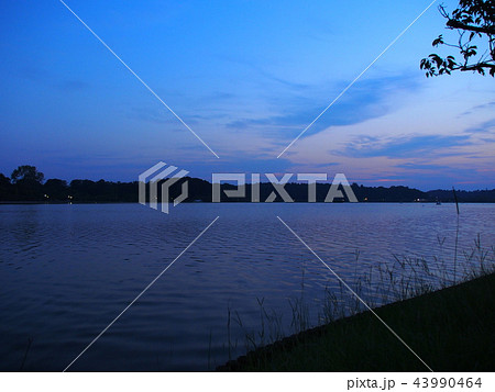 茨城県水戸市の千波湖の夕焼け 茨城県水戸市の千波湖の夕焼け 43990464