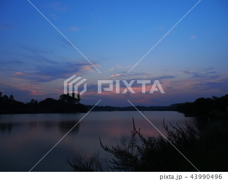 茨城県水戸市の千波湖の夕焼け 43990496