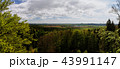 panorama view from rocks called Prachovske skaly 43991147