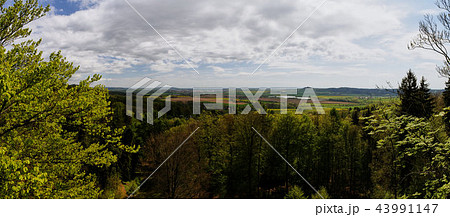 panorama view from rocks called Prachovske skaly 43991147