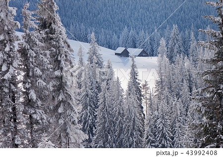 Hut in winter forest Hut in winter forest 43992408