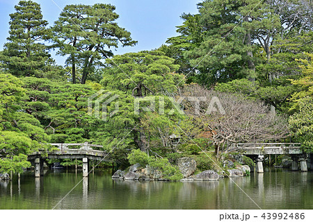 二の丸庭園 二の丸庭園 43992486