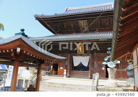 四国霊場75番 善通寺 四国霊場75番 善通寺 43992560