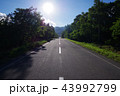 直線道路 43992799
