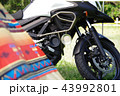 バイクキャンプ 43992801