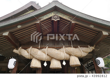 出雲大社 43992812