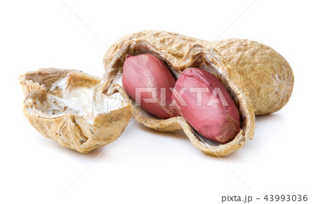peanut isolated on white peanut isolated on white 43993036