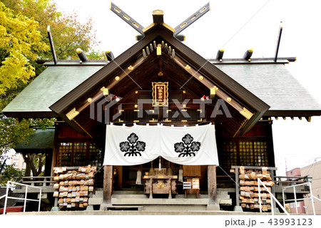 札幌諏訪神社の社殿 43993123