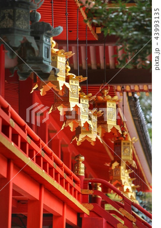 岩清水八幡宮 43993135