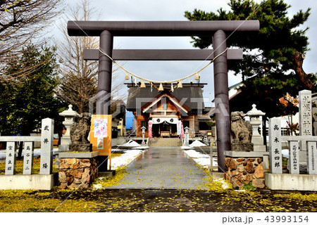 札幌市札幌村神社の鳥居 43993154