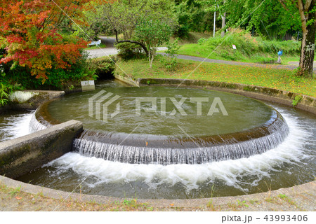 円形分水　熊本 43993406