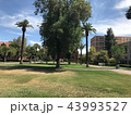米国　キャンパス　風景 43993527