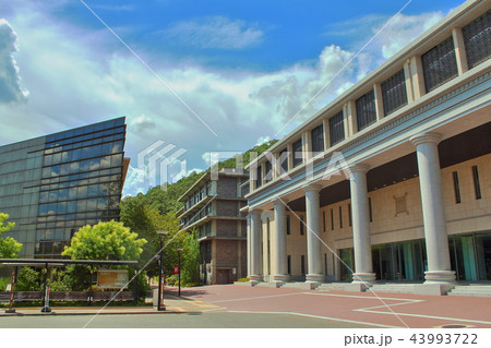 立命館大学 立命館大学 43993722