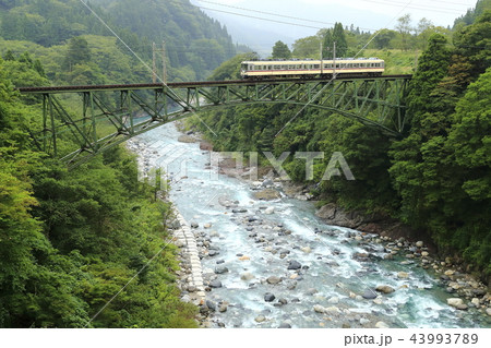 夏の富山地方鉄道立山線 夏の富山地方鉄道立山線 43993789