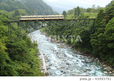 夏の富山地方鉄道立山線 夏の富山地方鉄道立山線 43993791