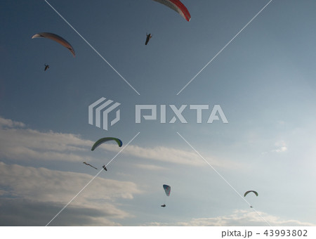 パラグライダー パラグライダー 43993802