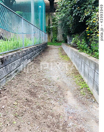 舗装されていない道 43993949