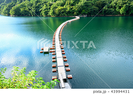 <奥多摩湖> 麦山浮橋(ドラム缶橋) 東京都西多摩郡奥多摩町 <奥多摩湖> 麦山浮橋(ドラム缶橋) 東京都西多摩郡奥多摩町 43994431